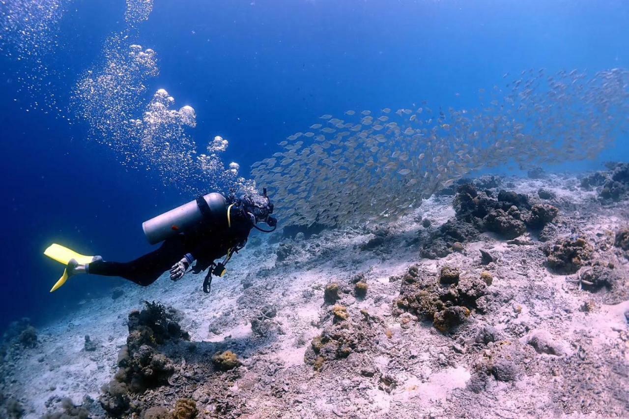 Blue Ocean Lodge & Diving Centre Semporna 蓝海潜水旅舍 المظهر الخارجي الصورة